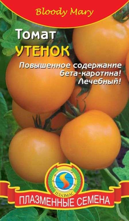 Томат Утенок: описание сорта, характеристика, особенности выращивания Сад и огород