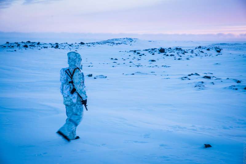 Замерзшие тайны Третьего рейха: что немцы искали в советской Арктике и смогли ли найти Интересное