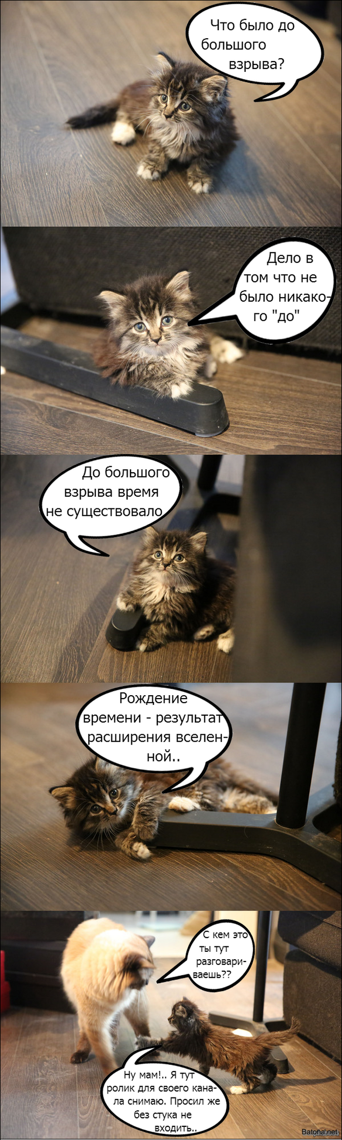 Подборка комиксов и приколов №172 (50 картинок)