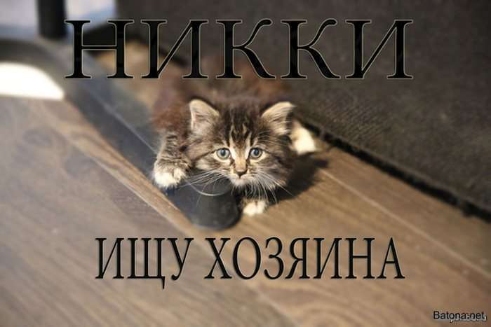Подборка комиксов и приколов №172 (50 картинок)