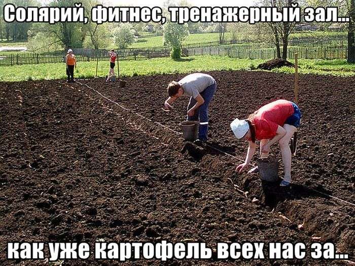 Подборка прикольных фото №949 (100 фото)