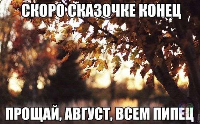 Подборка прикольных фото №950 (93 фото)