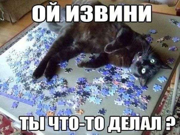 Прикольные картинки с подписями (33 фото)
