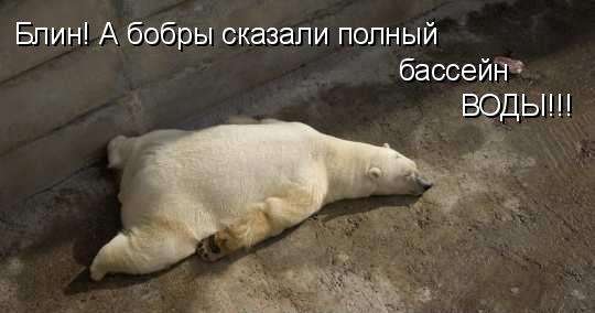 Приколы (76 фото)