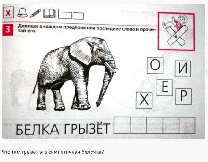 Идиотизмы и странные задания в школьных учебниках (25 фото)