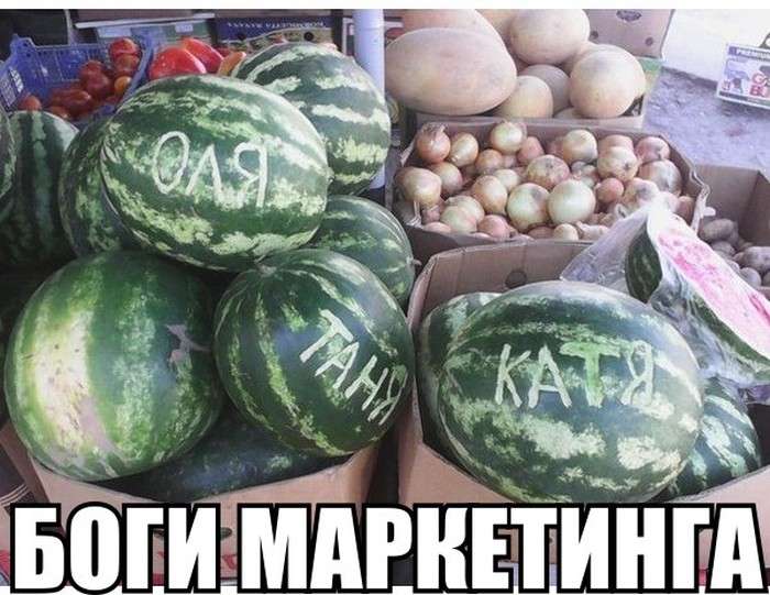 Подборка прикольных фото №959 (105 фото)