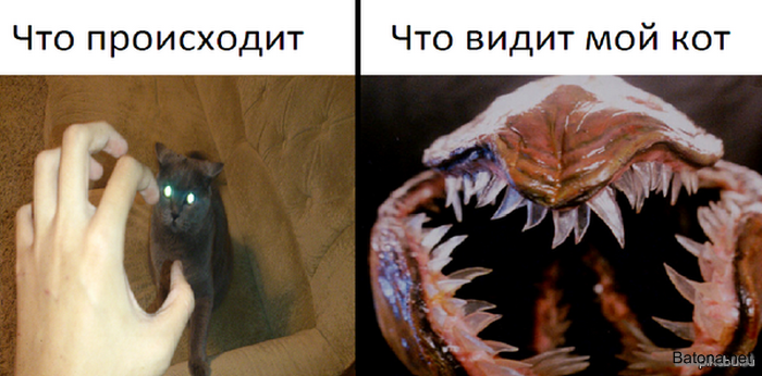 Подборка комиксов и приколов №184 (30 картинок)