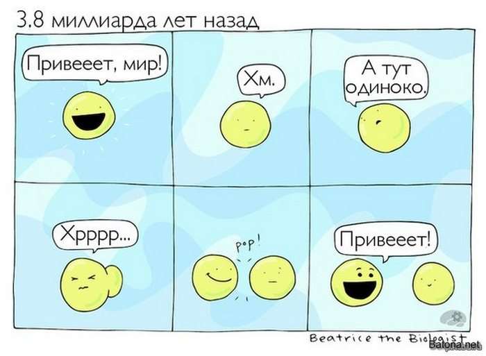 Подборка комиксов и приколов №185 (25 картинок)