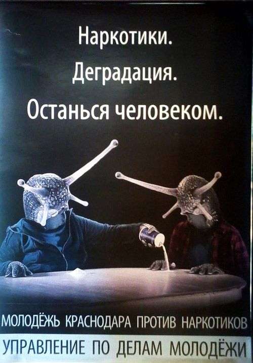 Подборка прикольных фото №963 (92 фото)