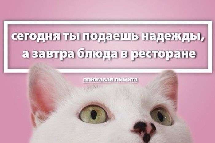 Подборка прикольных фото №963 (92 фото)