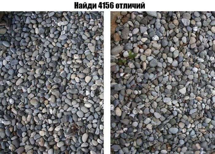 Подборка прикольных фото №963 (92 фото)