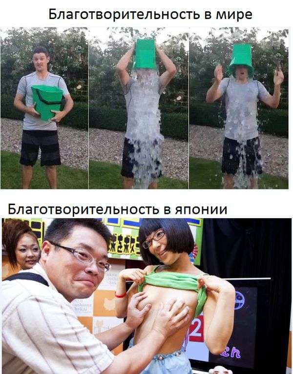 Подборка прикольных фото №963 (92 фото)