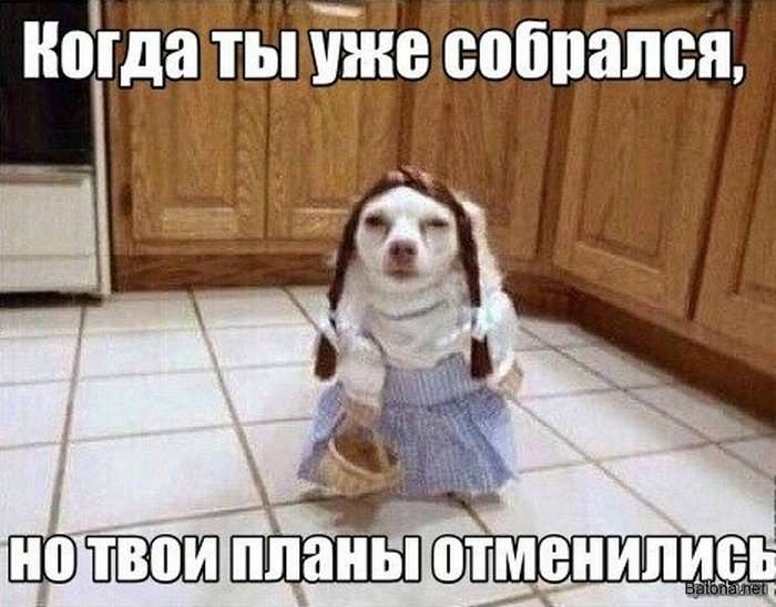 Подборка комиксов и приколов №192 (25 картинок)
