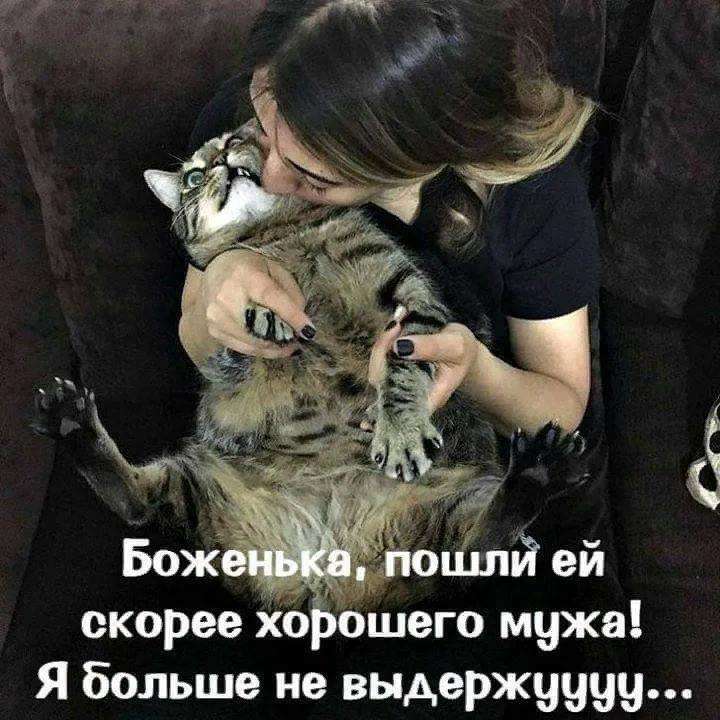 Отрубил Илья Муромец Змею-Горынычу одну голову — а на ее месте десять новых выросло… Юмор,картинки приколы,приколы,приколы 2019,приколы про