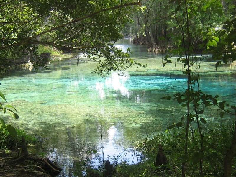 10 самых красивых природных бассейнов мира заграница,путешествие