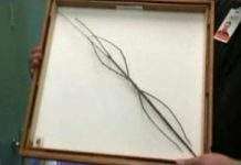 Саме довге комаха