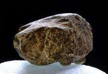 В Стоунхенджі знайдена дитяча іграшка