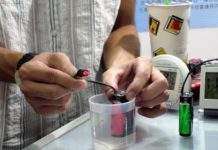 Тайванец розробив хлорофилловую органічну батарею