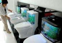 Унітаз з акваріумом зменшить витрату води