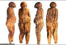 В Зарайська знайдені артефакти 20-тисячолітньої давності