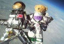В космос відправили плюшевих ведмежат