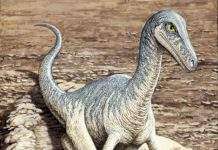 Самці динозаврів высиживали яйця