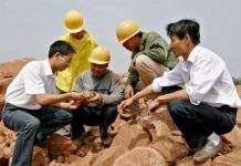 У Китаї відкопали яйця динозаврів