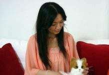 Робот-кішка від Sega Toys