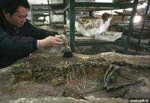 Найдавніший прабатько птахів