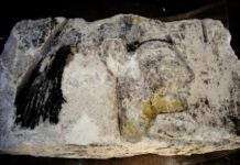 Археологи знайшли камінь із зображенням Нефертіті