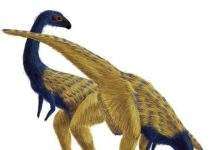 У Китаї знайшли предка птахів