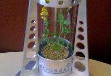 На Місяці зроблять оазис