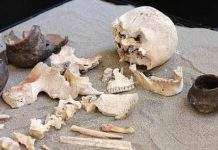 Загинув у бою … 5 тис. років тому