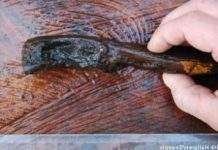 У Швеції виявлено цибулю камяного століття