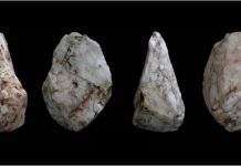 Стародавні люди могли плавати понад 100 тис. років тому