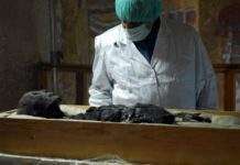 Вчені висунули нову версію смерті Тутанхамона