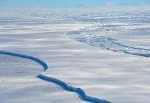 Антарктида потеплішала за півстоліття