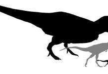Предок T rex знайдений в Китаї