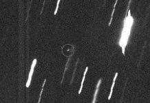 NASA: Апофіс Землі не загрожує