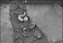 В Європі існував канібалізм