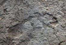 Під мозаїкою знайшли відбитки ступень