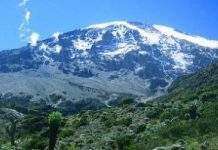 Кіліманджаро позбавляється снігу