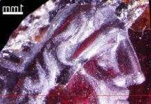 Мініатюрний портрет Олександра Македонського