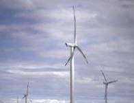 У США зявиться найбільша вітрова електростанція