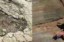 Динозаври бродили по Новій Зеландії 70 млн. років тому