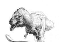 Предок T. Rex виявився «крихітним»