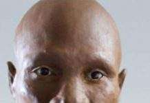 Вигляд першого європейця відновили за фрагментами