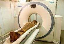 Археологи виявили в Саккарі мумію віком 2,5 тис. років