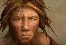 Вчені показали справжнє обличчя неандертальця