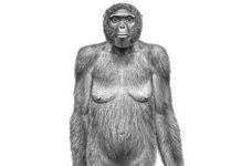 Виявлений найдавніший прямоходяча предок людини